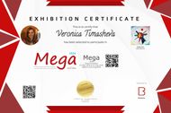 Supernova: Mega 2026 Certificate